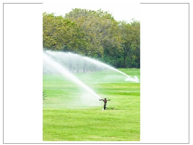 Local landscape installation in Maricopa, AZ - Farmer Juan