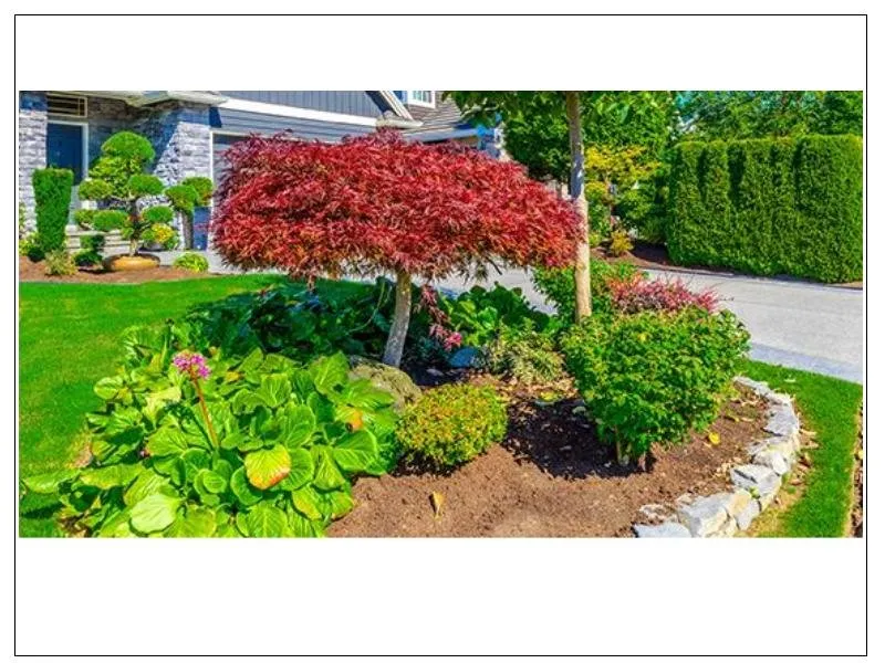 Reliable yard maintenance for homes in Maricopa, AZ by Farmer Juan