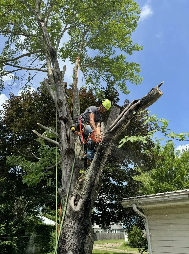 Professional residential landscaping in Zanesville, OH by Farmer Tae Landscaping