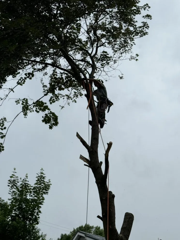 Custom outdoor landscaping experts serving Zanesville, OH - Farmer Tae Landscaping