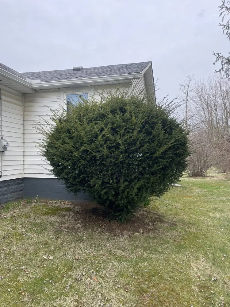 Custom lawn care service with custom design in Zanesville, OH by Farmer Tae Landscaping