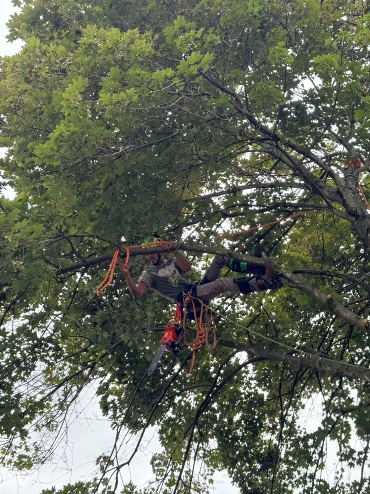 Reliable garden landscaping experts serving Zanesville, OH - Farmer Tae Landscaping