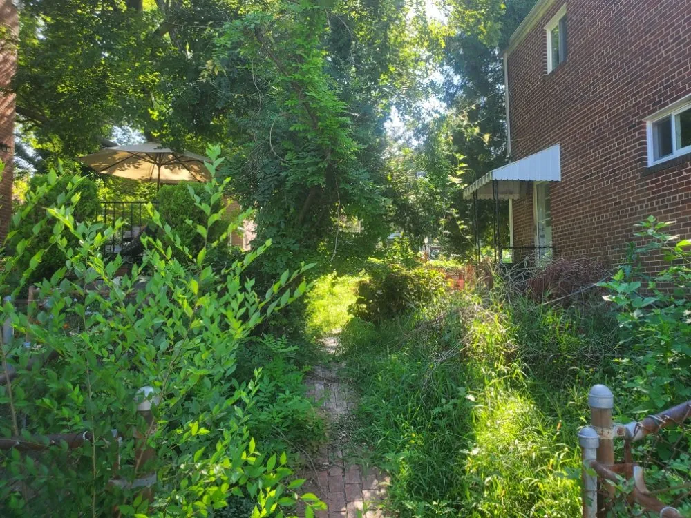 Affordable residential landscaping in Upper Marlboro, MD by FarmerJohn Landscaping Services