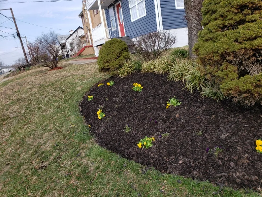 Custom lawn care service in Upper Marlboro, MD by FarmerJohn Landscaping Services