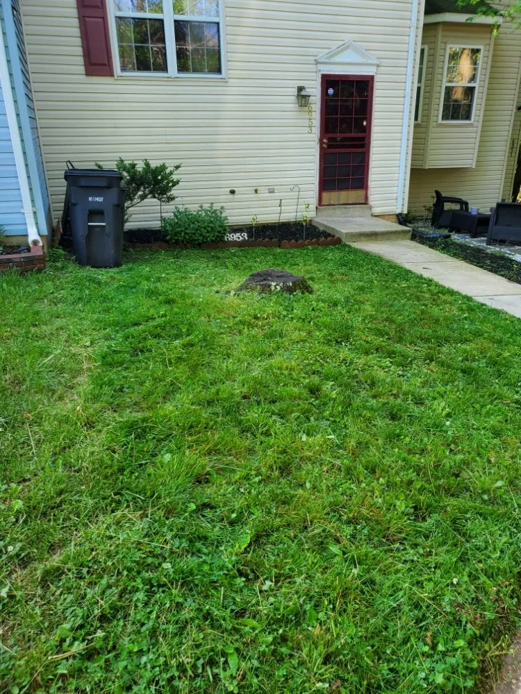 Professional lawn mowing service experts serving Upper Marlboro, MD - Farmerjohn Landscaping Services