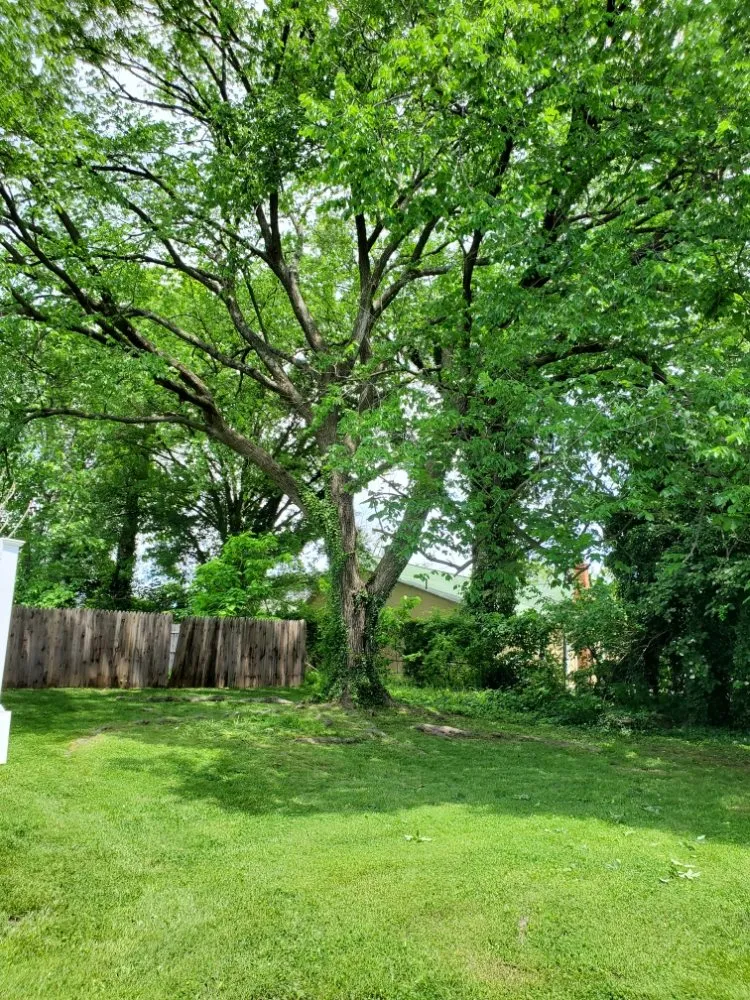 Affordable residential landscaping for homes across Upper Marlboro, MD - FarmerJohn Landscaping Services