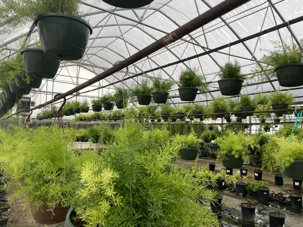 Reliable garden landscaping in San Angelo, TX by Farmer's Daughter Landscape