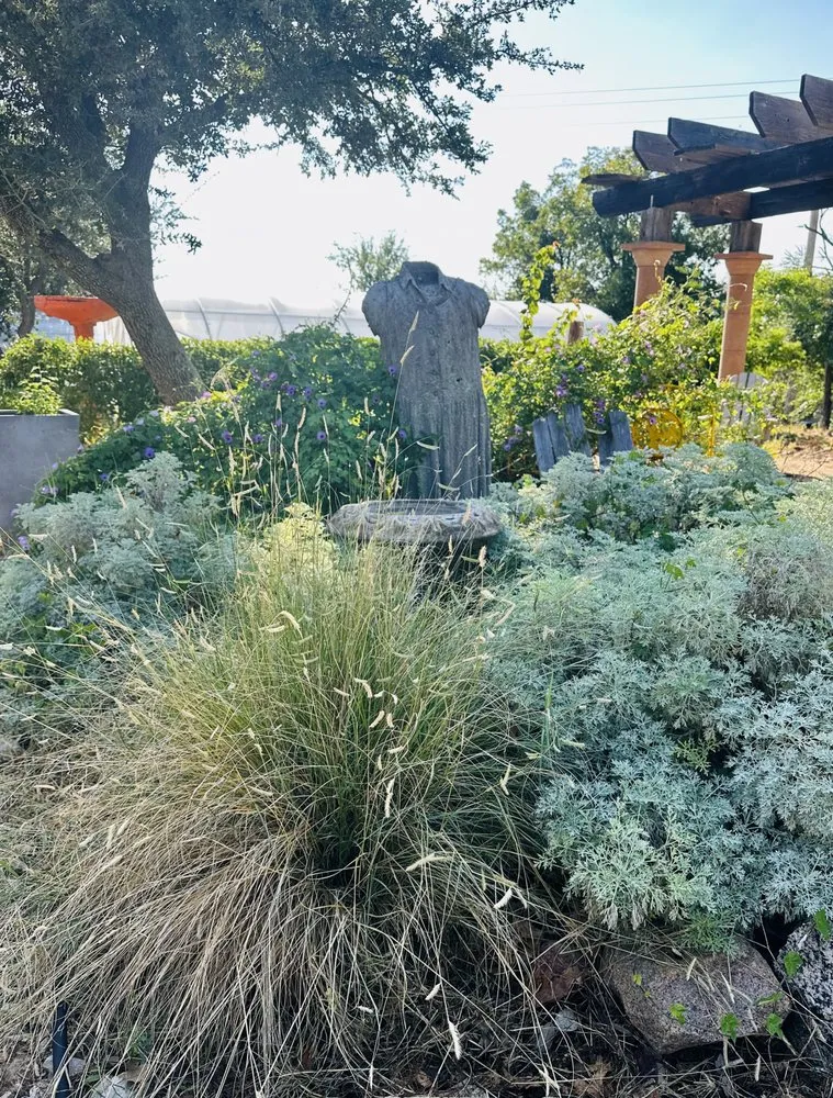 Top-rated landscape installation for outdoor upgrades across San Angelo, TX - Farmer's Daughter Landscape