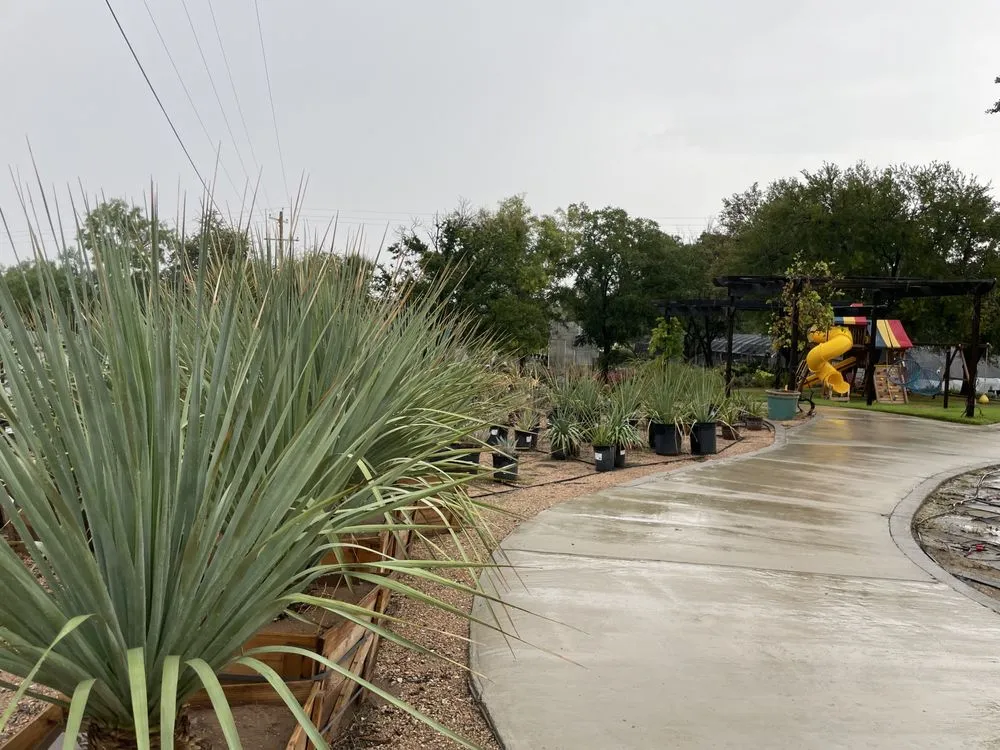 Reliable landscaping services experts serving San Angelo, TX - Farmer's Daughter Landscape