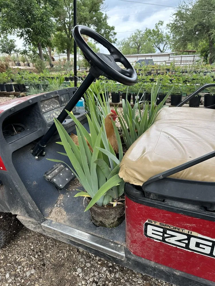 Local outdoor landscaping near you in San Angelo, TX by Farmer's Daughter Landscape