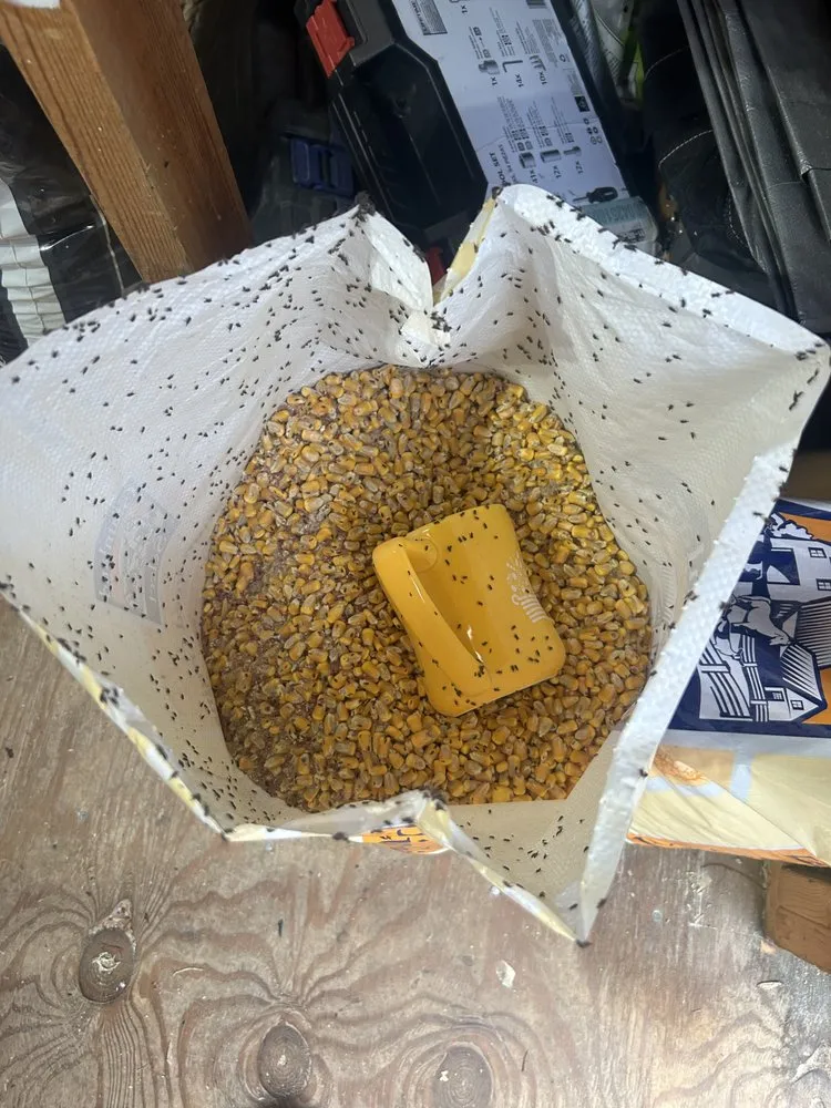 Professional lawn care service in Kernersville, NC by Farmers Feed & Seed