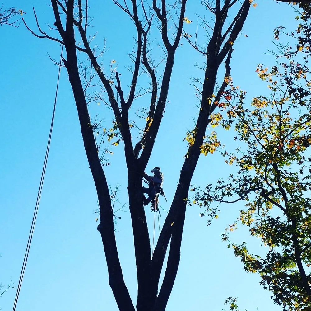 Custom landscape installation experts serving Kernersville, NC - Farmers Feed & Seed