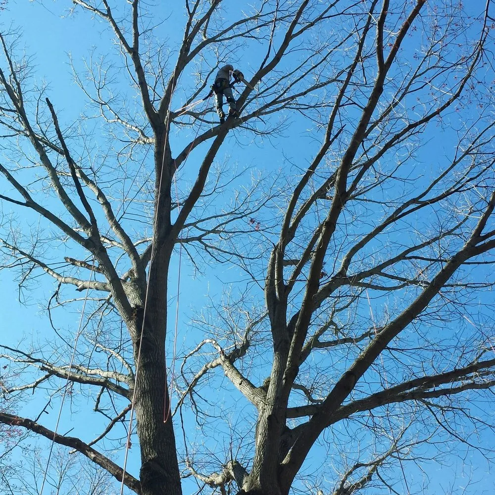 Expert landscape design in Kernersville, NC by Farmers Feed & Seed