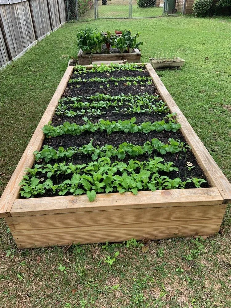Professional yard maintenance with custom design in Newton, GA by Farmers Gold Organic