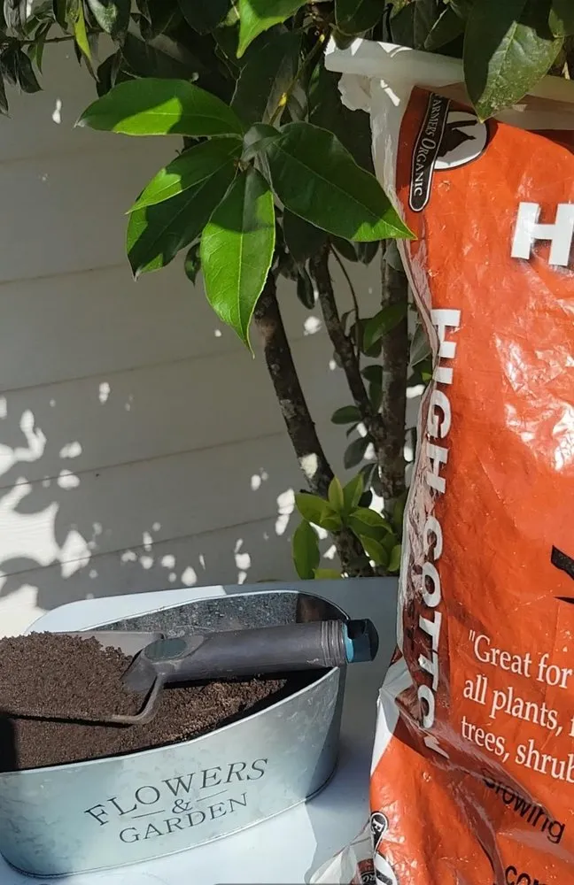 Trusted yard cleanup service in Newton, GA by Farmers Gold Organic