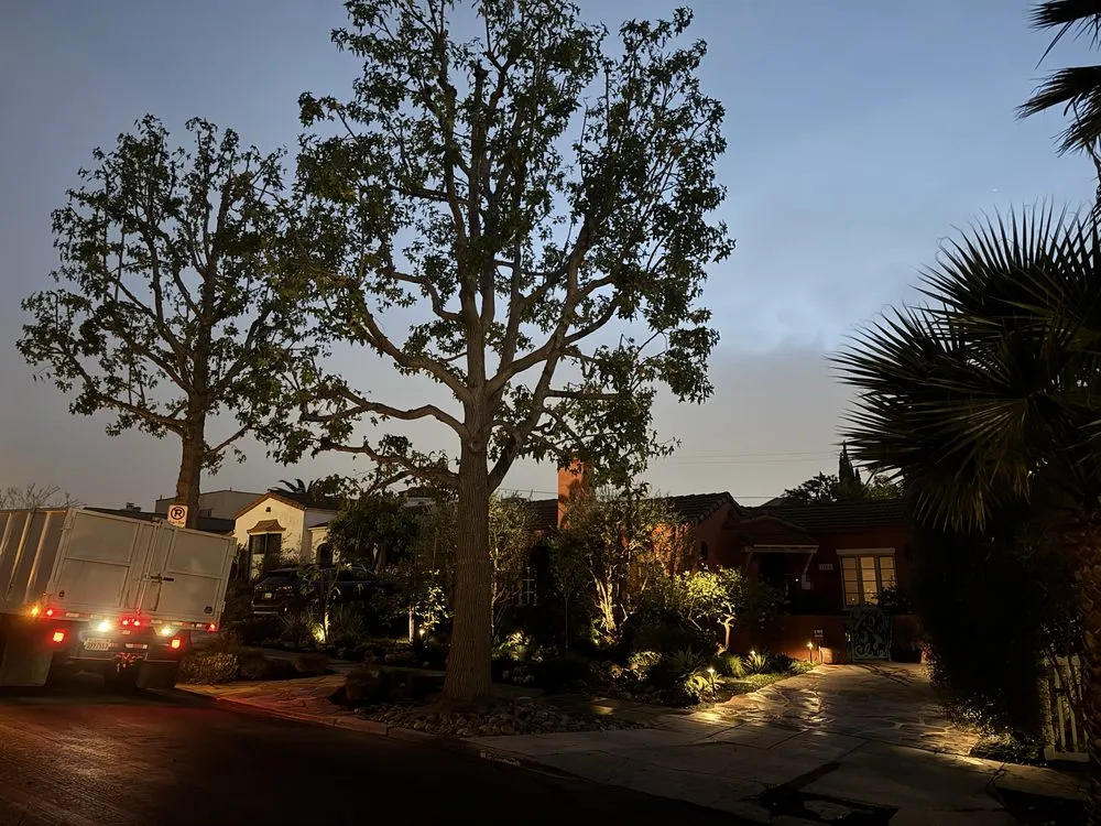 Custom yard maintenance for year-round maintenance across West Los Angeles, CA - Farmers Landscape Tree Care