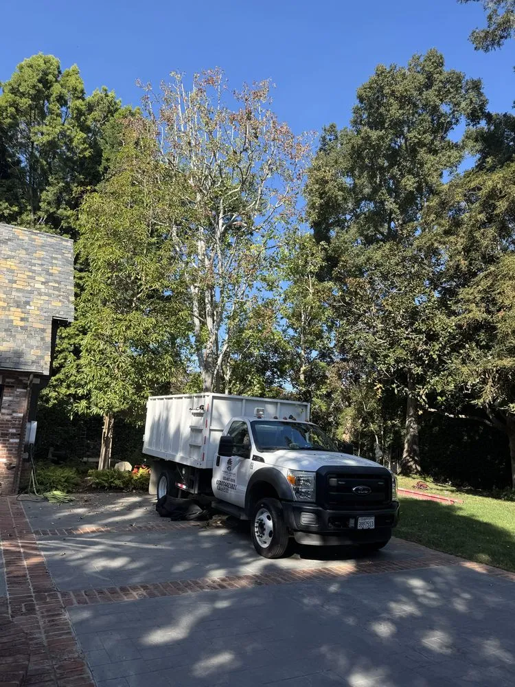Expert garden landscaping for year-round maintenance across West Los Angeles, CA - Farmers Landscape Tree Care