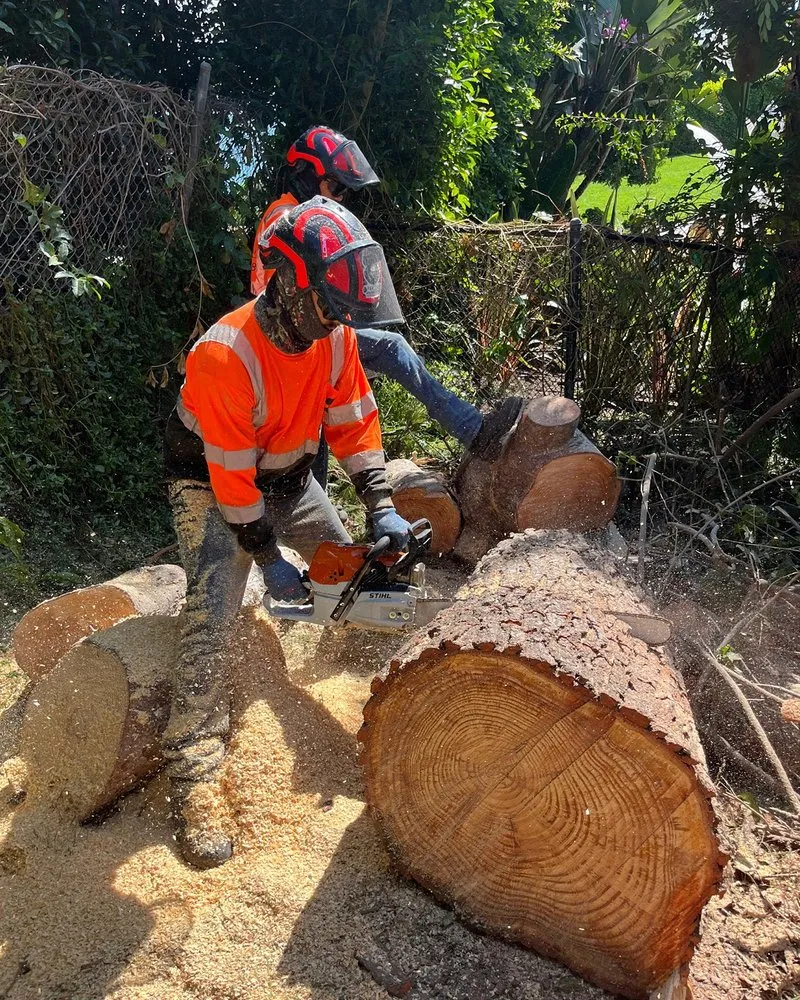 Reliable outdoor landscaping for year-round maintenance across West Los Angeles, CA - Farmers Landscape Tree Care