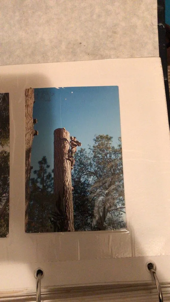 Custom lawn mowing service in Anaheim, CA by Farmers Landscaping