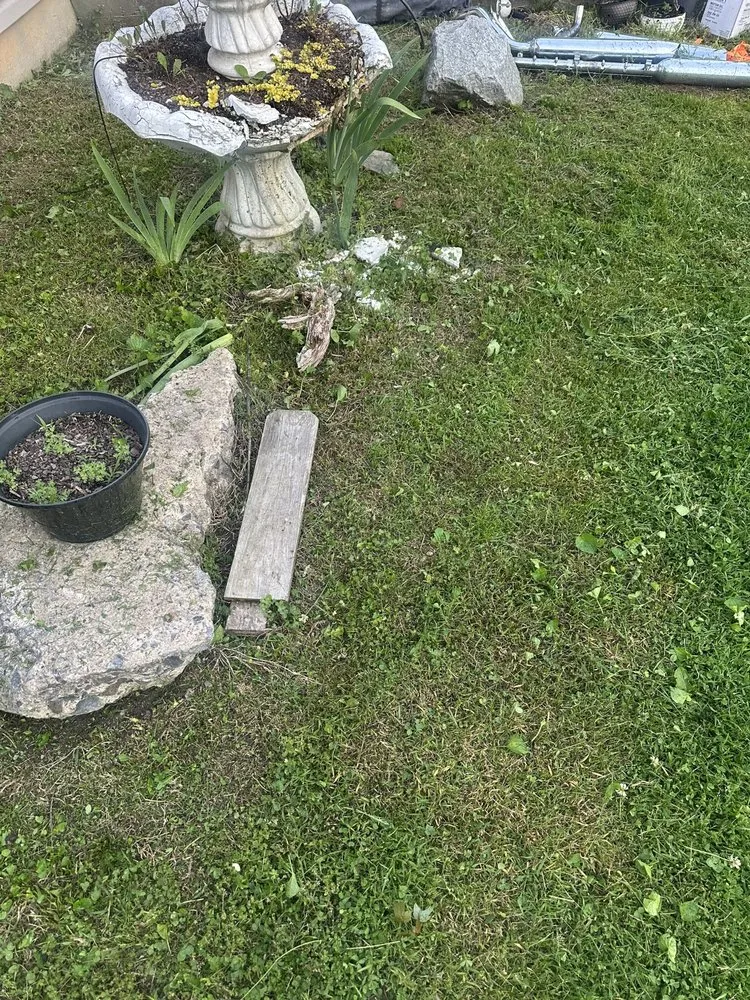 Local yard cleanup service experts serving East Flat Rock, NC - Farmers Landscaping and Services