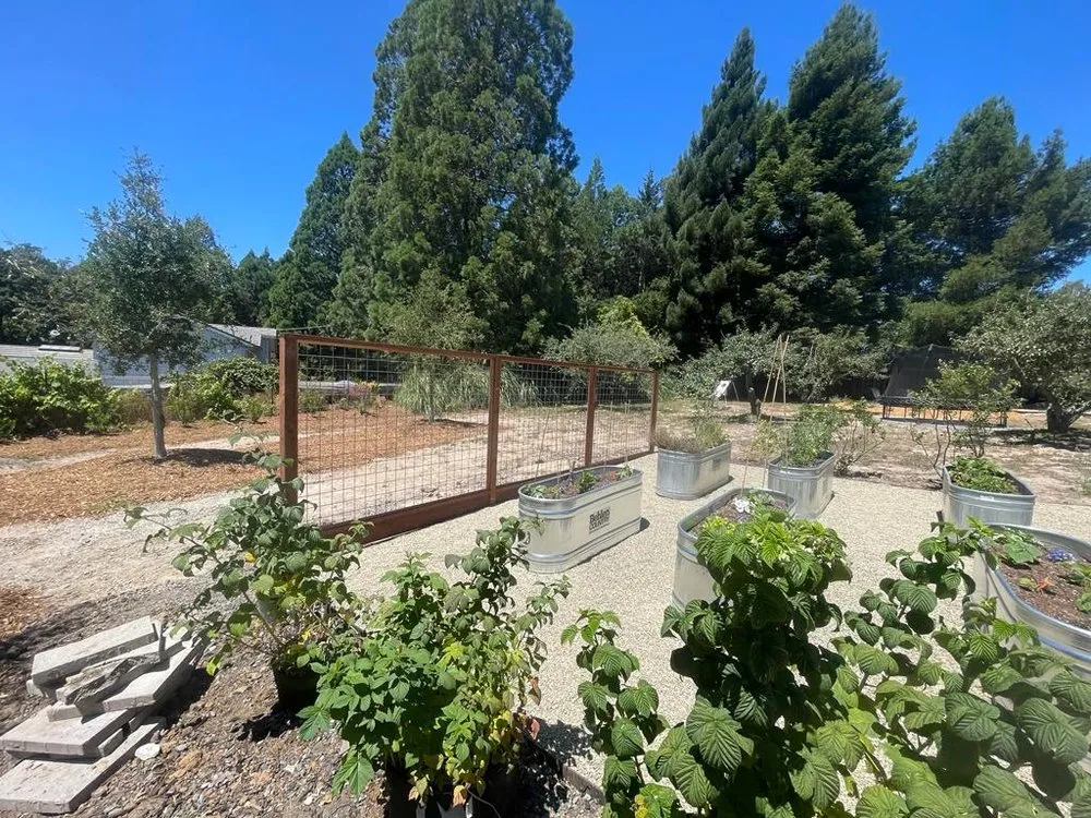 Expert landscaping services for year-round maintenance in Sonoma, CA by Farmerz Landscape