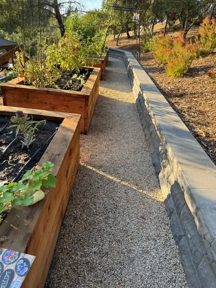 Trusted lawn care service in Sonoma, CA - Farmerz Landscape