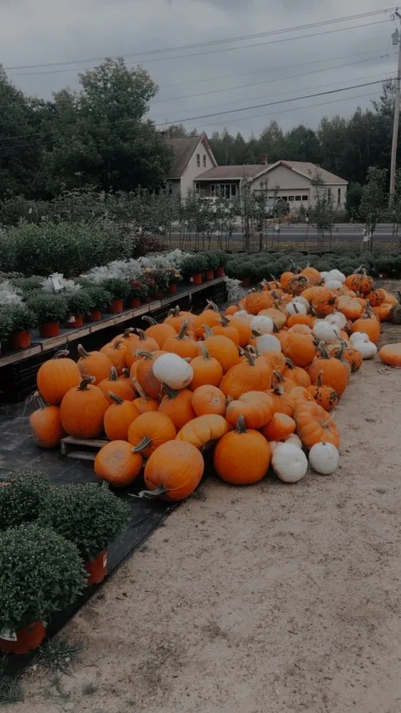 Custom landscaping services experts serving Lebanon, ME - Farmfield Greenhouses