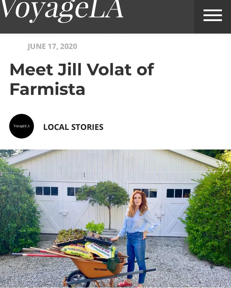 Affordable outdoor landscaping with custom design in Los Angeles, CA by Farmista