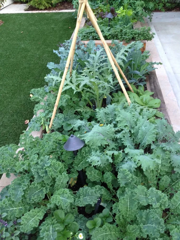 Custom landscaping services in Los Angeles, CA by Farmista