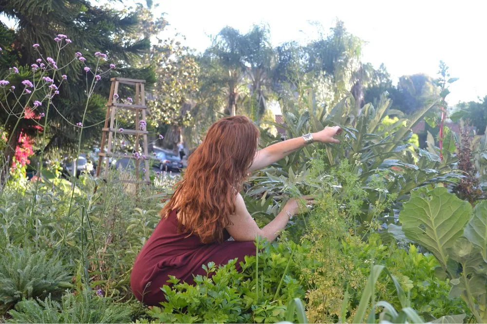 Trusted lawn care service in Los Angeles, CA by Farmista