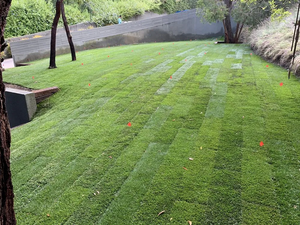 Expert lawn mowing service in Los Angeles, CA by Farmista
