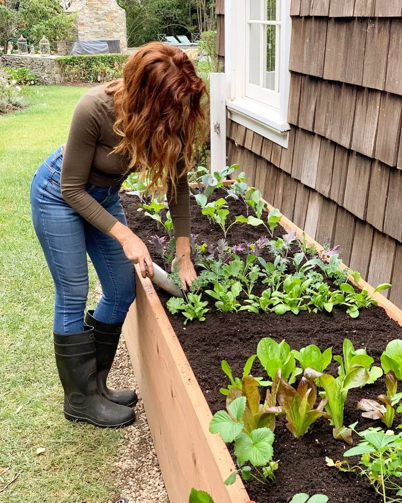 Top-rated landscape design in Los Angeles, CA by Farmista