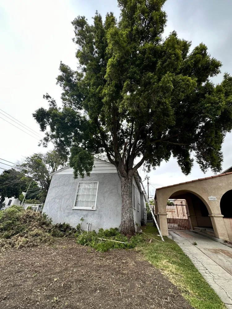 Custom landscape design experts serving Pasadena, CA - Farmore Landscaping