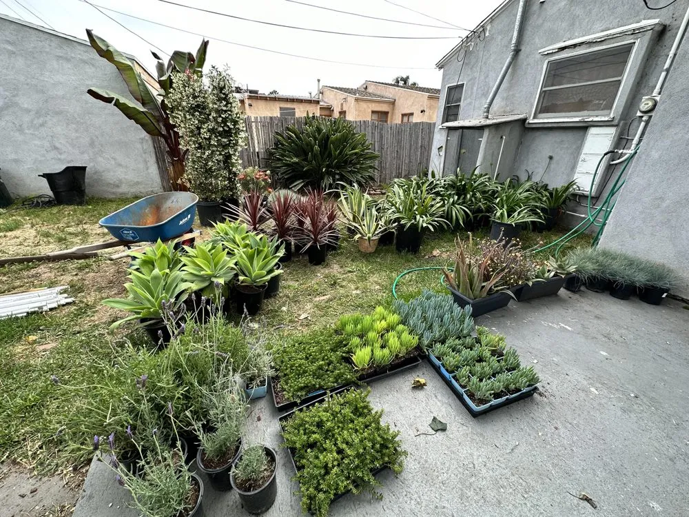 Professional landscaping services for year-round maintenance in Pasadena, CA by Farmore Landscaping