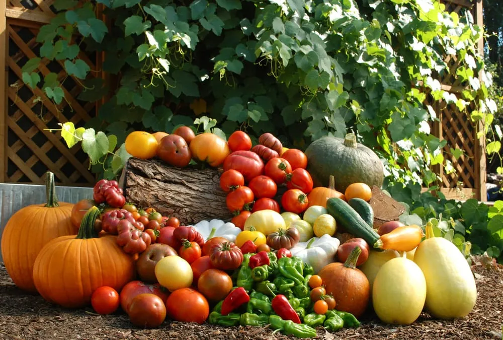 Top-rated lawn mowing service in Los Angeles, CA - Farmscape