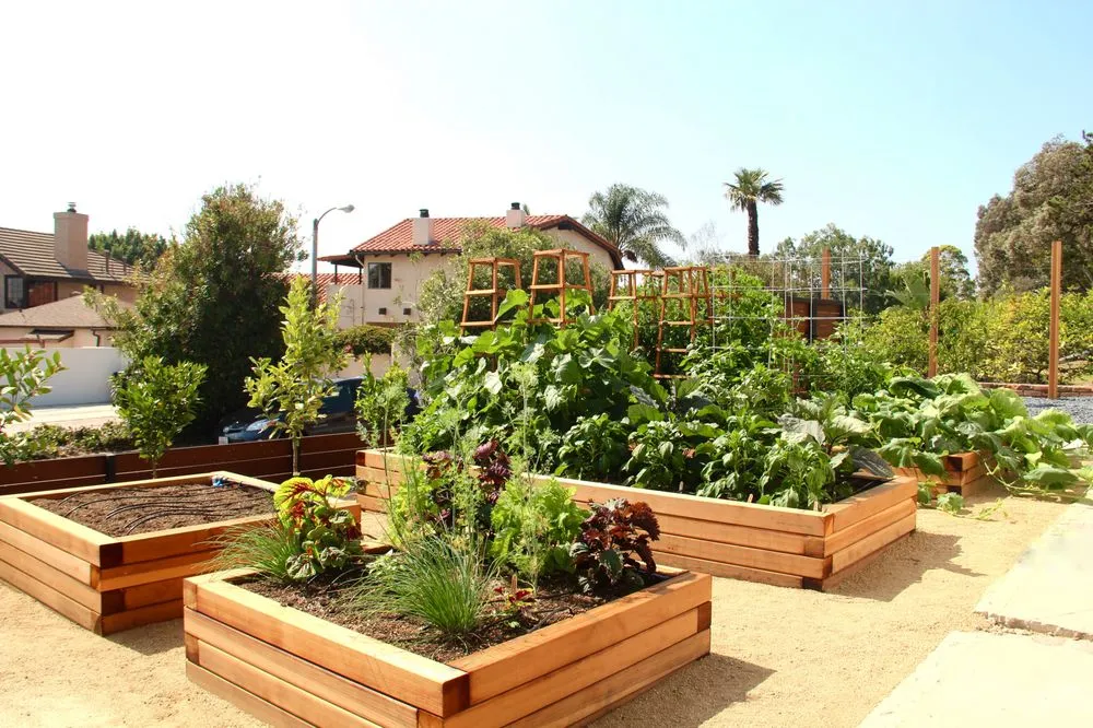 Professional landscaping services in Los Angeles, CA - Farmscape