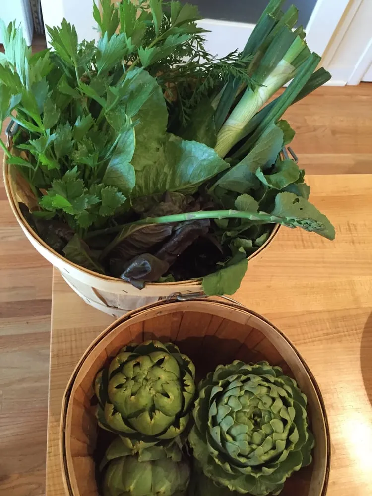 Expert lawn care service in Los Angeles, CA by Farmscape