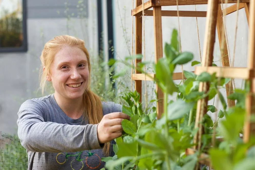 Expert lawn care service in Los Angeles, CA - Farmscape