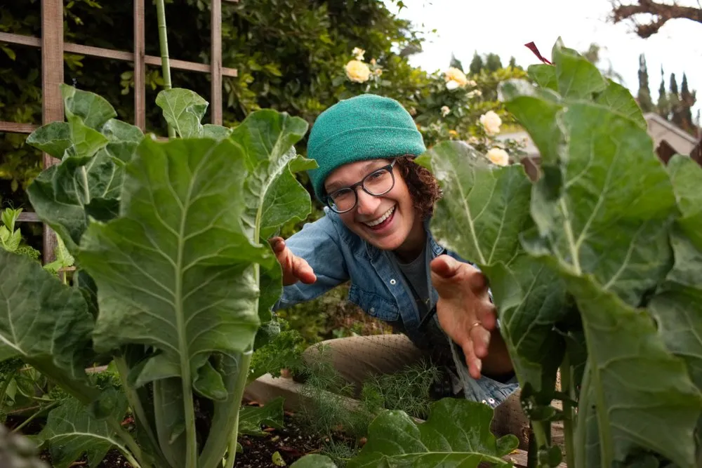 Top-rated landscape installation with custom design in Los Angeles, CA by Farmscape