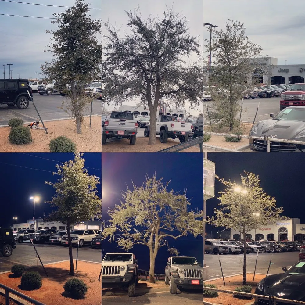 Top-rated yard maintenance for homes across Odessa, TX - Farmscapes Landscapes & Services