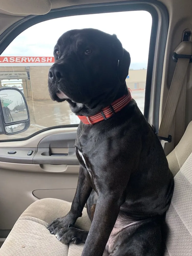 Reliable residential landscaping for outdoor upgrades across Odessa, TX - Farmscapes Landscapes & Services