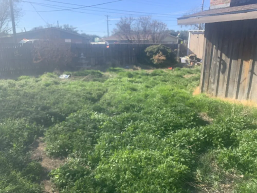 Professional lawn care service for beautiful yards across Odessa, TX - Farmscapes Landscapes & Services