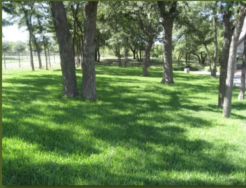 Reliable lawn care service experts serving Aledo, TX - Farnham Landscape