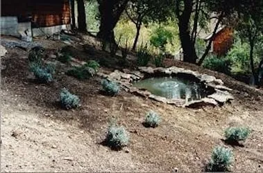 Trusted lawn care service for homes in San Rafael, CA by Farrell's Landscapes