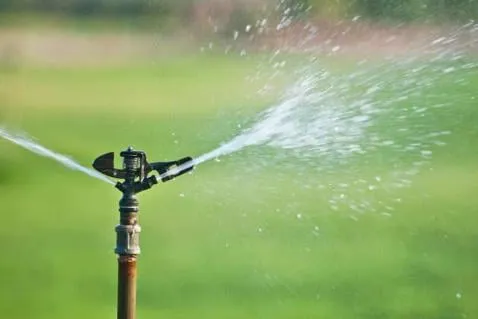 Affordable yard maintenance experts serving San Rafael, CA - Farrell's Landscapes