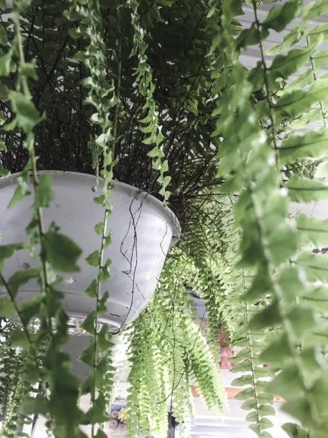 Reliable yard maintenance experts serving Bryan, OH - Farrell's Lawn & Garden Center