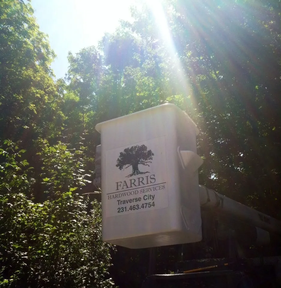 Professional landscaping services for year-round maintenance in Elk Rapids, MI by Farris Hardwood Services