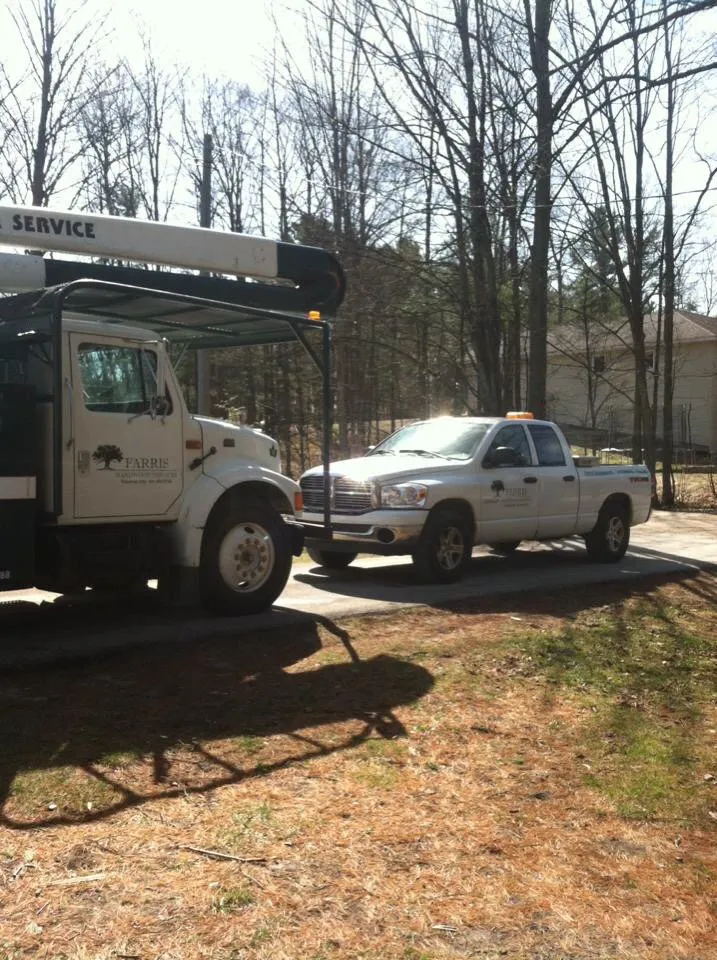 Trusted yard maintenance near you across Elk Rapids, MI - Farris Hardwood Services