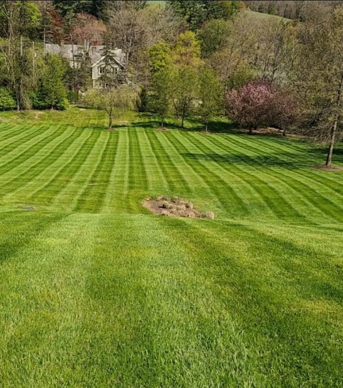 Top-rated lawn care service experts serving Bunch, OK - Farris Lawn Care