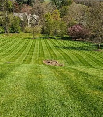 Farris Lawn Care